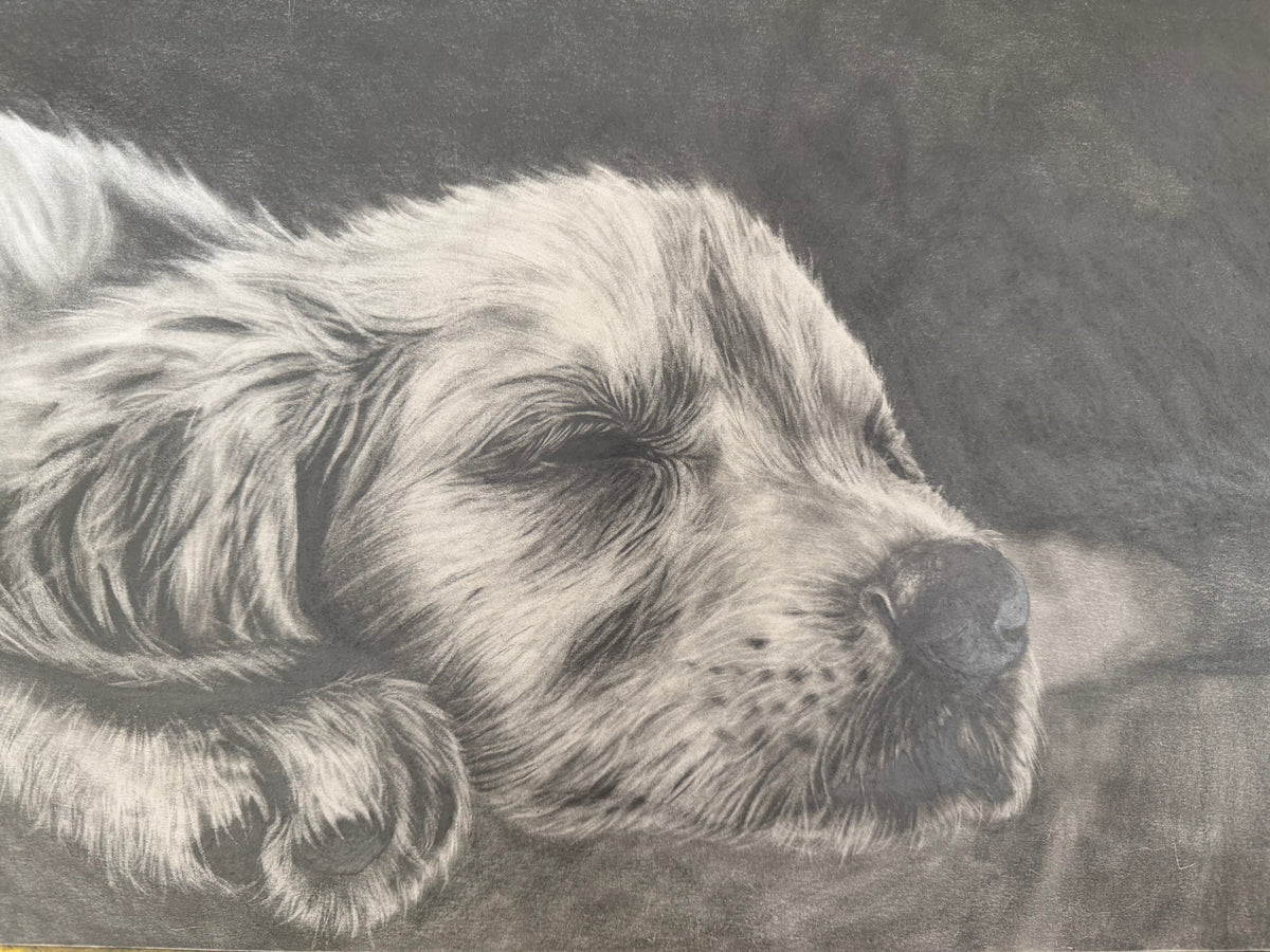 Custom Pet Portrait
