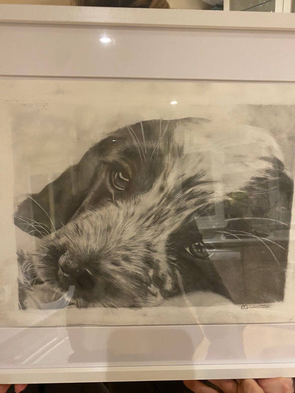 Custom Pet Portrait